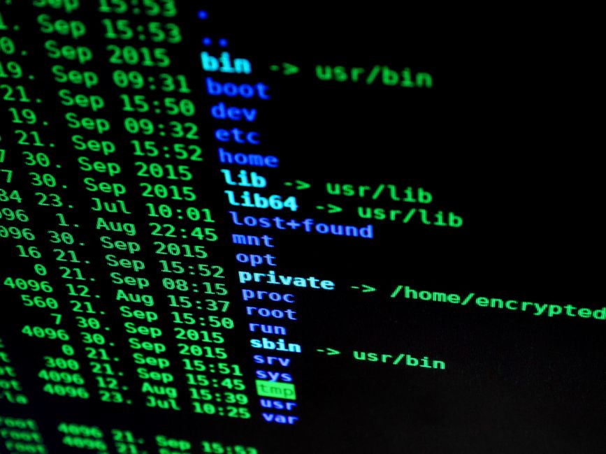 Reverse Shell, Bind Shells y Forward Shells